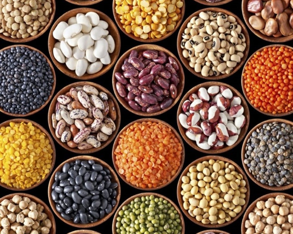 Oil Seeds & Pulses